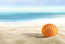 曼城队长在训练中受伤，或将错过接下来的几场比赛