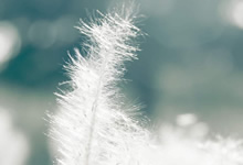 山东鲁能客场逆转，球迷欢呼不止