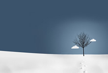 柏林联队主场击败强敌，士气大振