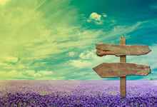 荷兰射击队豪取冠军，实力惊人